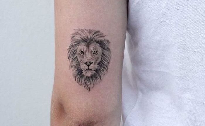 24 Small Lion Tattoo Designs and Ideas