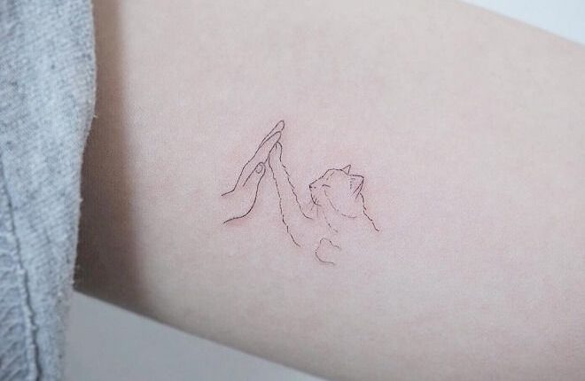 Top 30 Supreme Cat Tattoo | Amazing Cat Tattoos Designs 2019