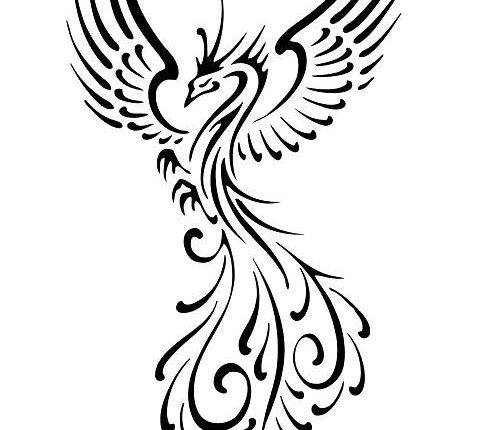 Schwarzer Phönix | linksunten Archiv