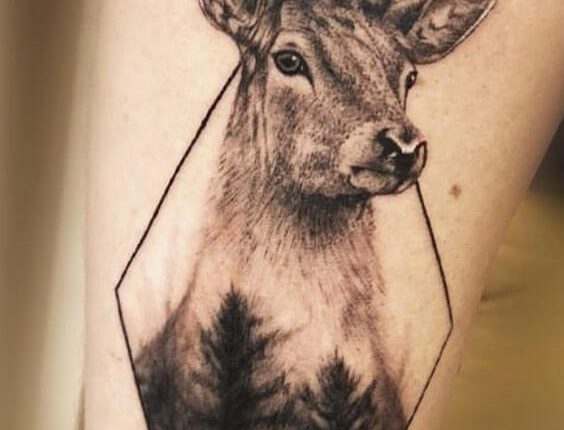 Top 15+ Cool Deer Tattoo Designs