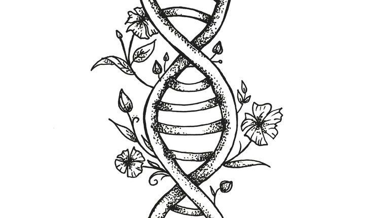 DNA