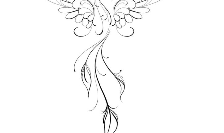 Alessandro „Pikeno“: Der Fineline Künstler Zier