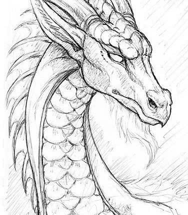 Pen Sketchbook - White Dragon by synnabar on DeviantArt
