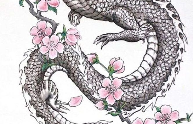 dragon sleeve drawing