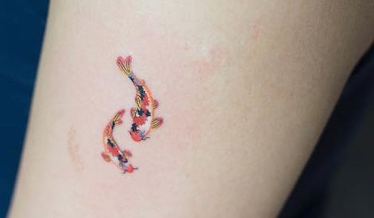 Koi Fisch Tattoo Designs für Frauen – My Tattoo Blog