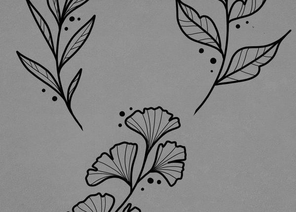 15 Amazing Plant & Leaf Drawing Ideas - Brighter Craft