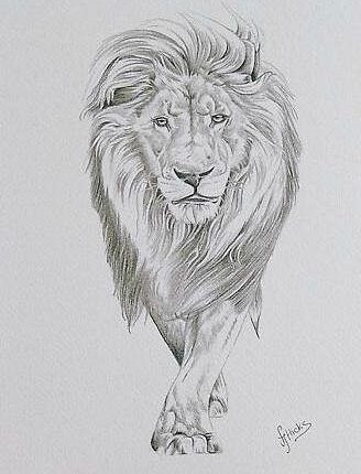 25+ Unbelievably Realistic Lion Tattoo Drawings