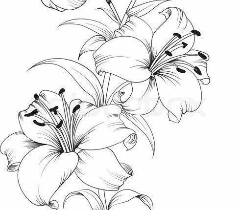 250+ Lily Tattoo Designs With Meanings (2021) Flower ideas & Symbols