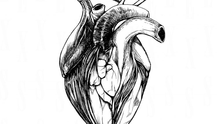 5x7 print "anatomical heart"