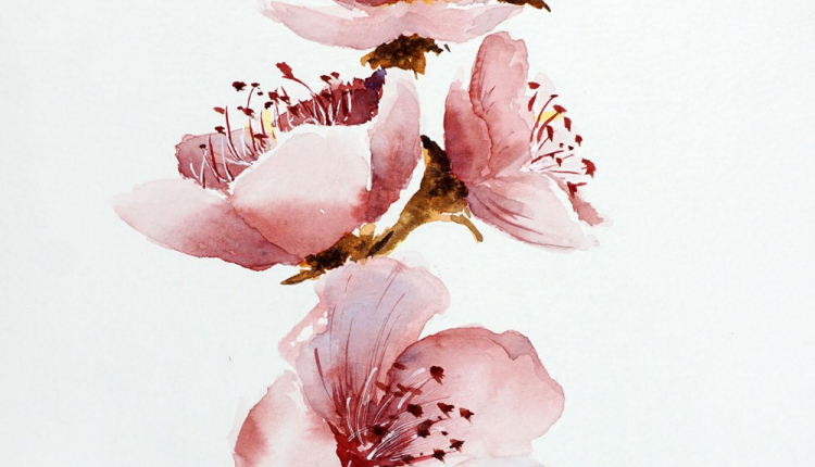 Anleitung für geringelte Socken – Welcome to Blog