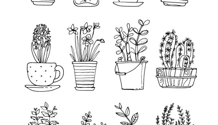 Colour Calm 01 (Sampler)