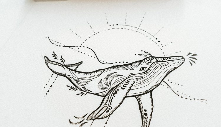 Whale, orca delicate line-drawing artwork perfect for small tiny tattoo idea for wildlife lovers