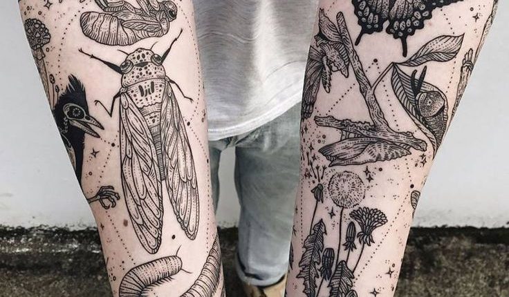 Die #Kosmische #Totale #Funktion #und #Blume #Pony #Reinhardt # (1), #blume #die #funktion #k...