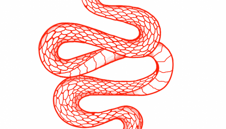 Red snake tattoo design