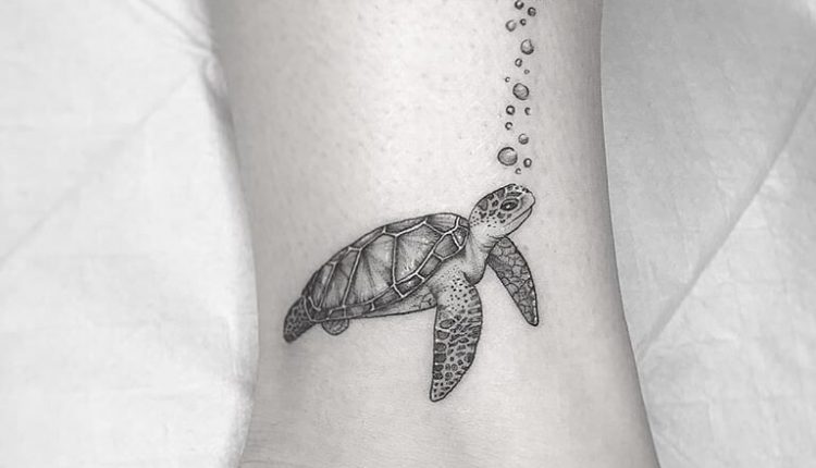 12+ Black and White Sea Turtle Tattoo Designs