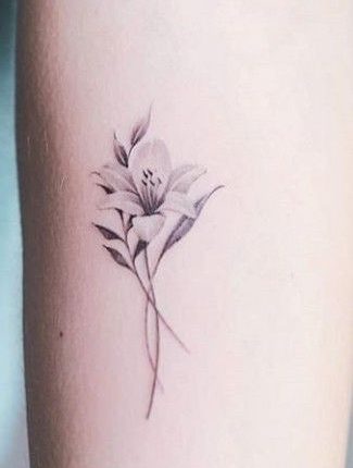 250+ Lily Tattoo Designs With Meanings (2021) Flower ideas &