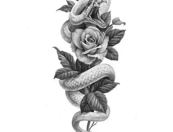 36+ Best Snake And Flower Tattoo Designs & Meanings