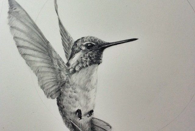 Tattoo Trends - Kolibri Tattoo Schwarz und auf Native American Hummingbird Tattoo Design In Rea - birds tattoo - Tattoo